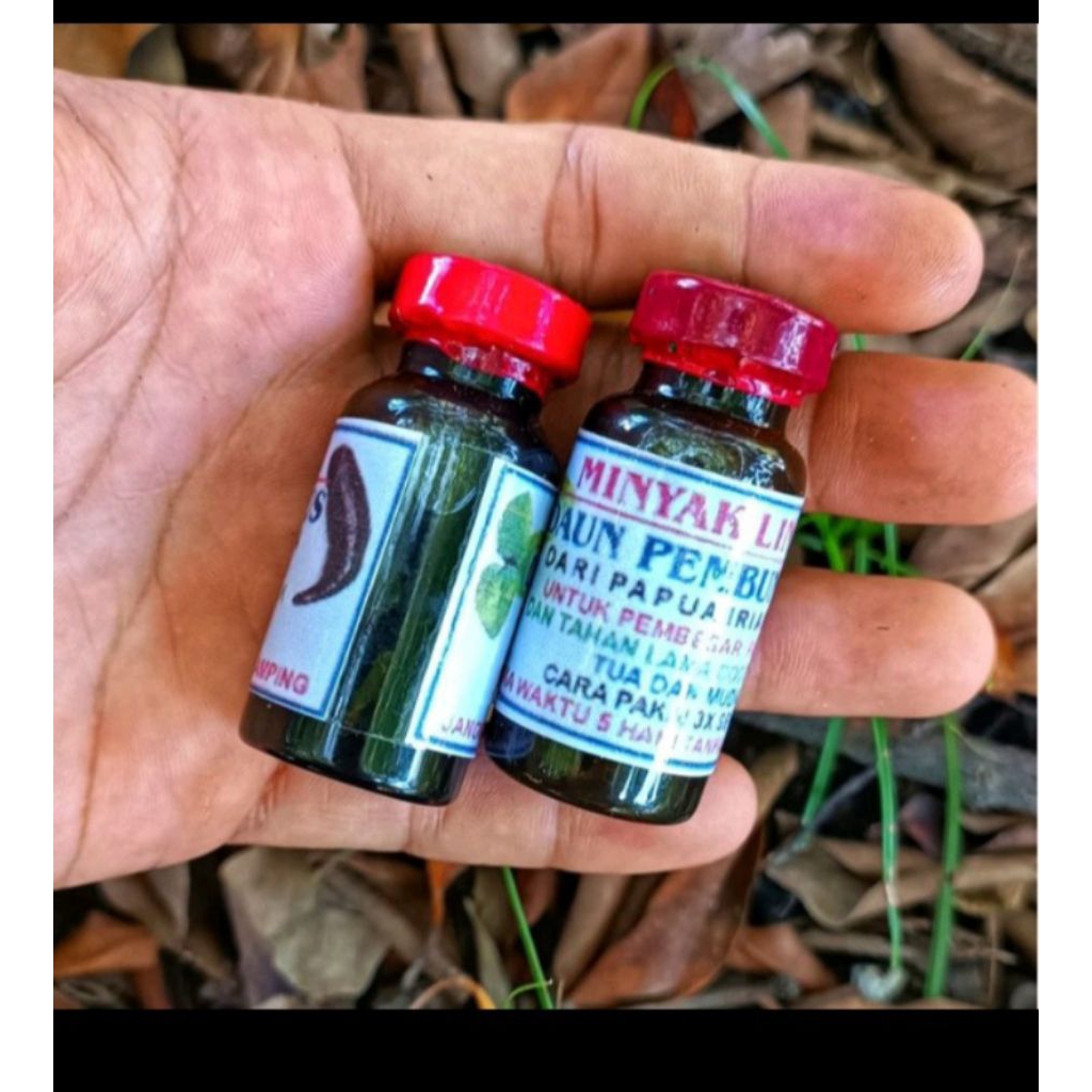 Minyak linta daun 3 jari asli dari papua