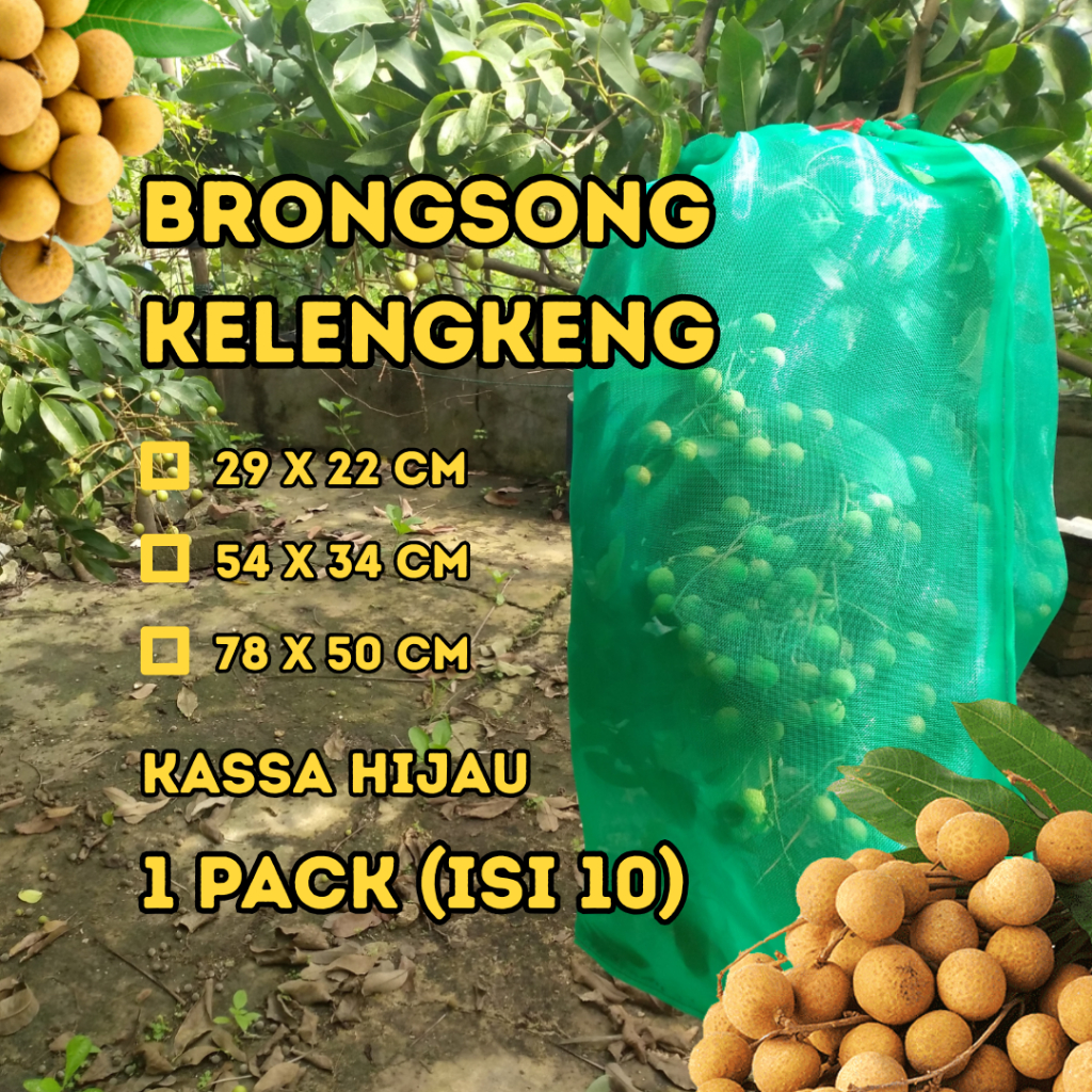Brongsong Buah Kelengkeng 2 Tali Anti Hama Kassa Hijau Kuat Fruit Cover Isi 10 Kecil Sedang Besar