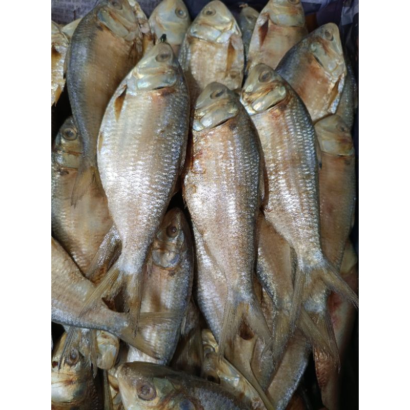 Ikan Asin Tembang belo