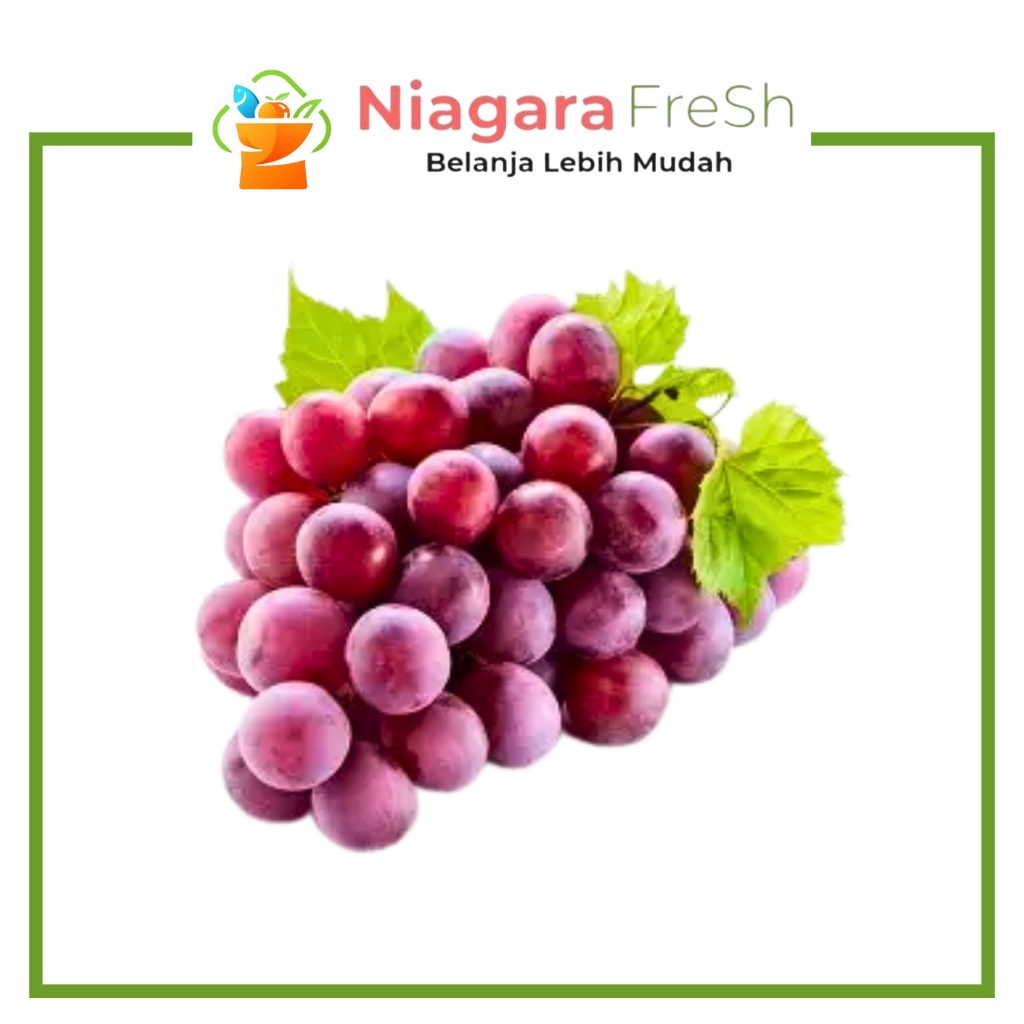 Buah Anggur Merah Red Globe Segar Manis Premium – Buah Fresh Berkualitas