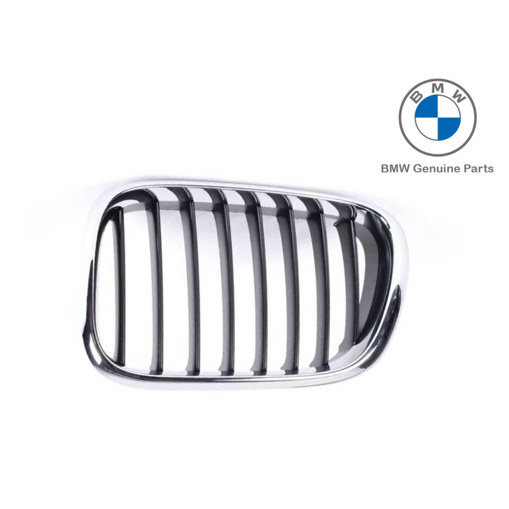 Original BMW E53 X5 Black Slats Kidney Grille Grill Depan KIRI 51138402645
