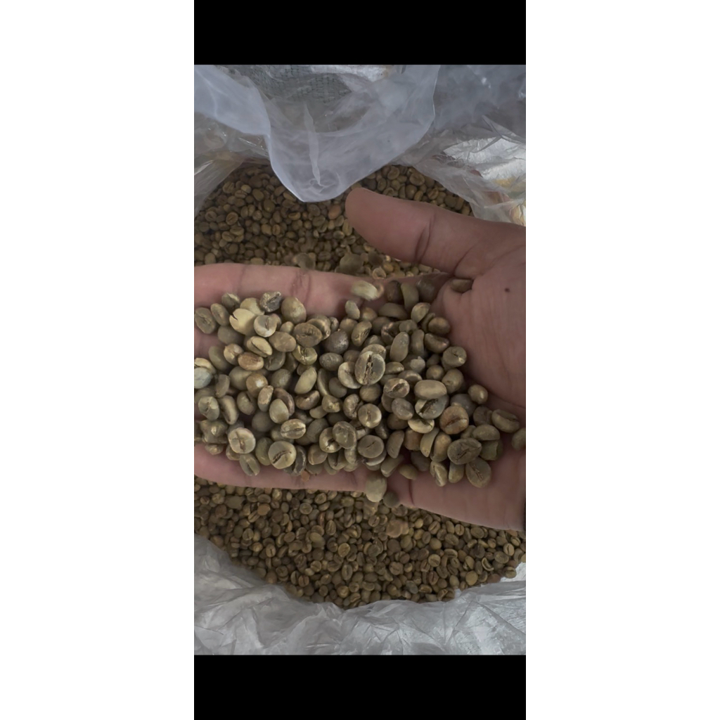 Biji Kopi Robusta Mentah 1kg