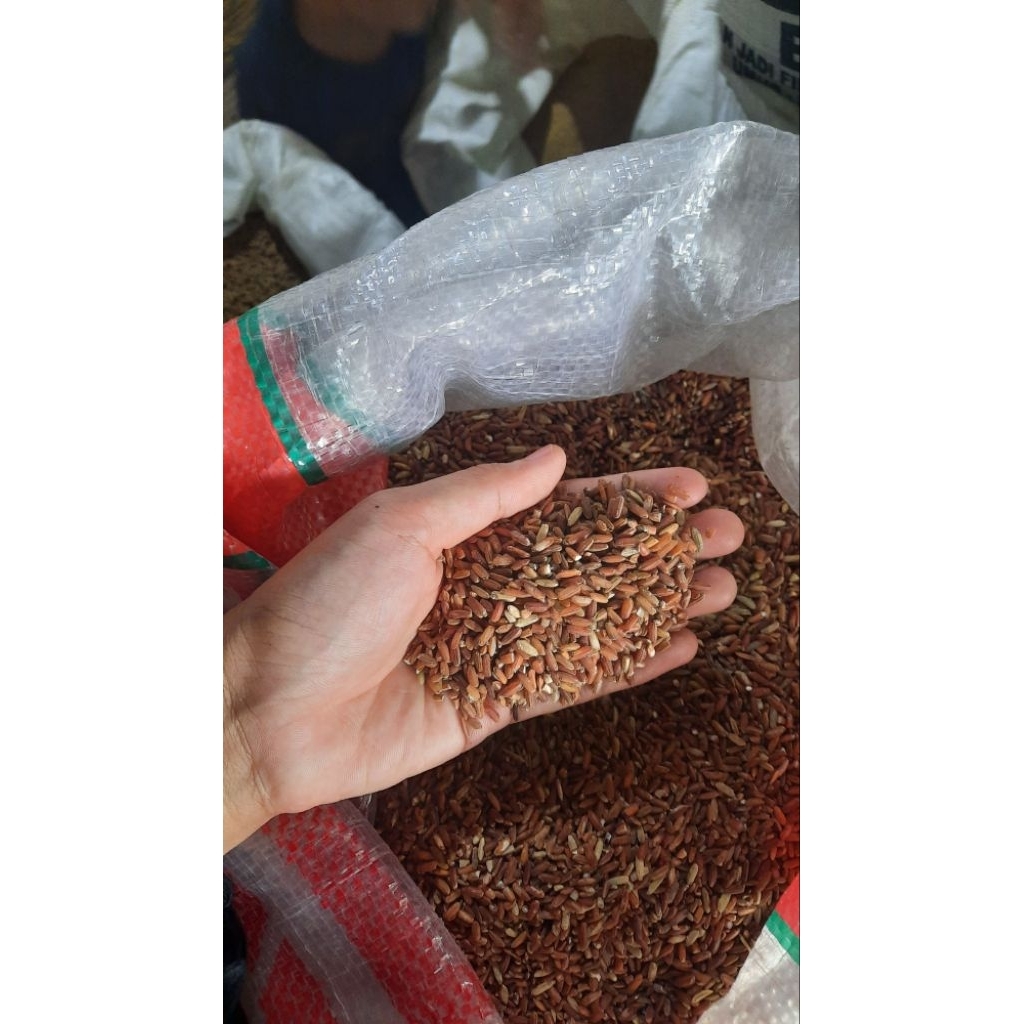 PAKAN AYAM BERAS MERAH KILOAN