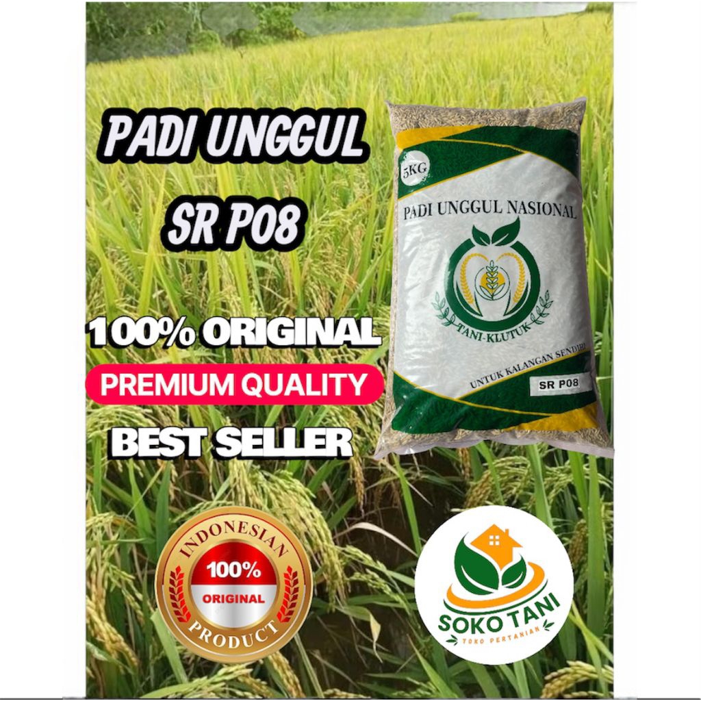 bibit padi benih padi unggul SR P08 ULTRA GENJAH original kemasan 5kg
