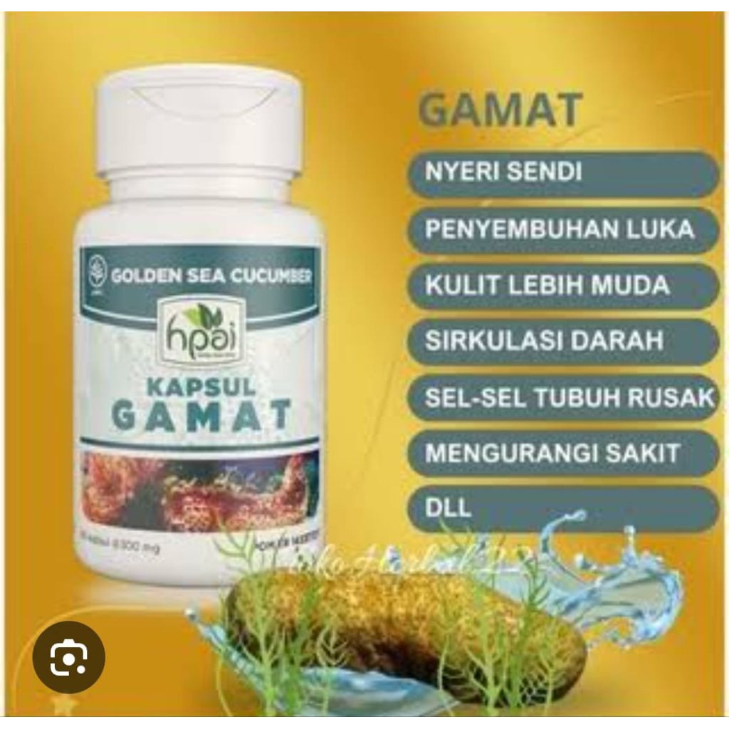 KAPSUL GAMAT HNI HPAI ISI 60 KAPSUL EXP 2028 bagus untuk kesehatan tulang.