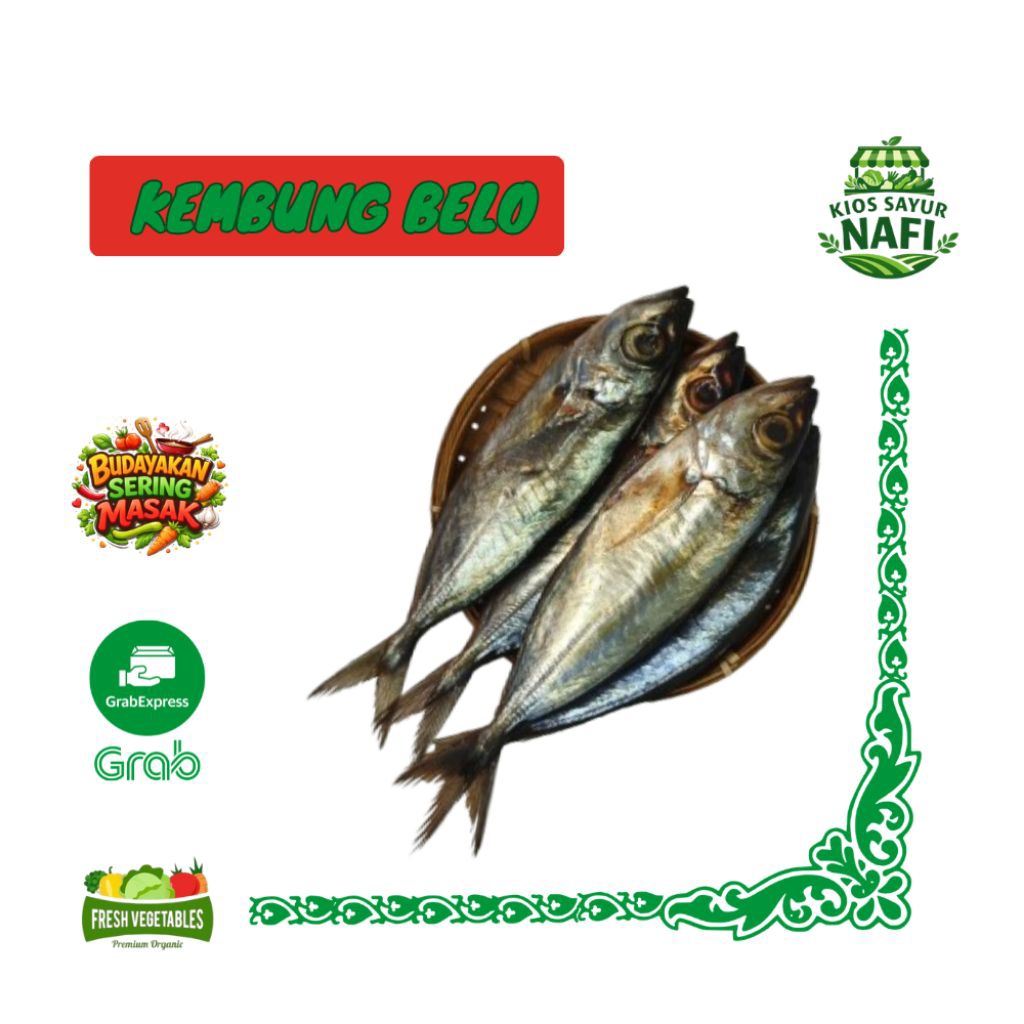 Ikan Kembung Belo Segar 500g – Ikan Kembung Fresh Untuk Goreng, Bakar & Balado