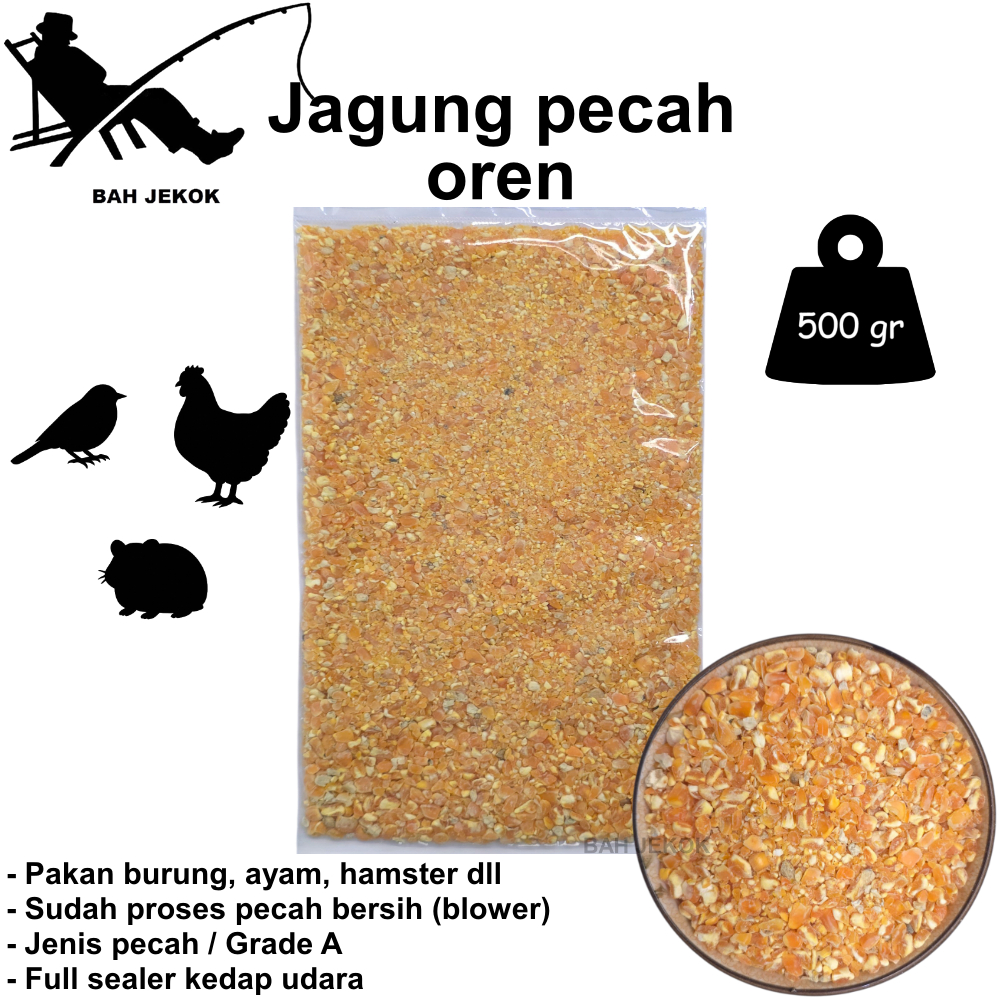 Jagung pecah untuk pakan ayam Bangkok Petelur Pedaging Kampung Aduan Broiler dan unggas