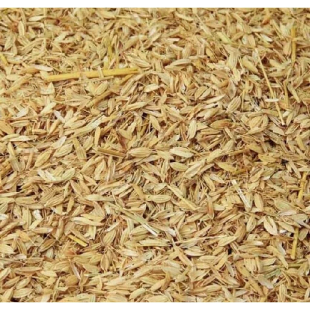 Sekam padi/Kulit padi kering/Merang Padi 1 kg