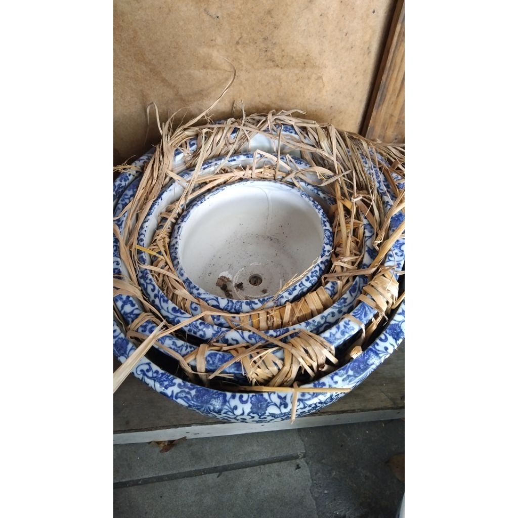 Keramik Pot Tanam  Set ( 1 set : 5 pcs)