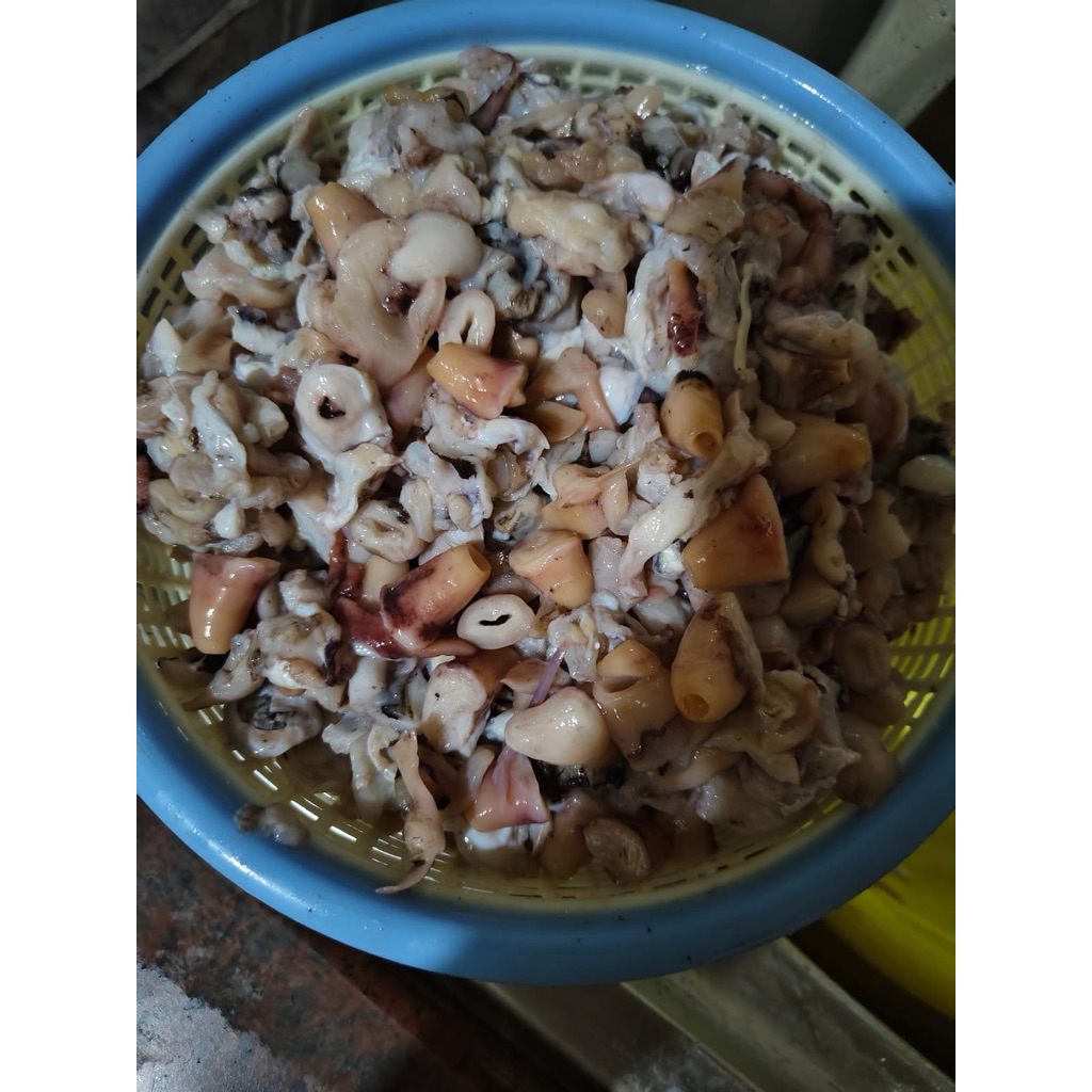 gurita potong IQF/ Gurita frozen/gurita potong takoyaki/giant octopus cut