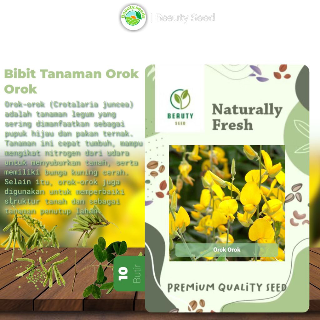 10 Butir Biji Benih Orok Orok - Bibit Orok Orok CROTALARIA JUNCEA Pengahsil Biomassa