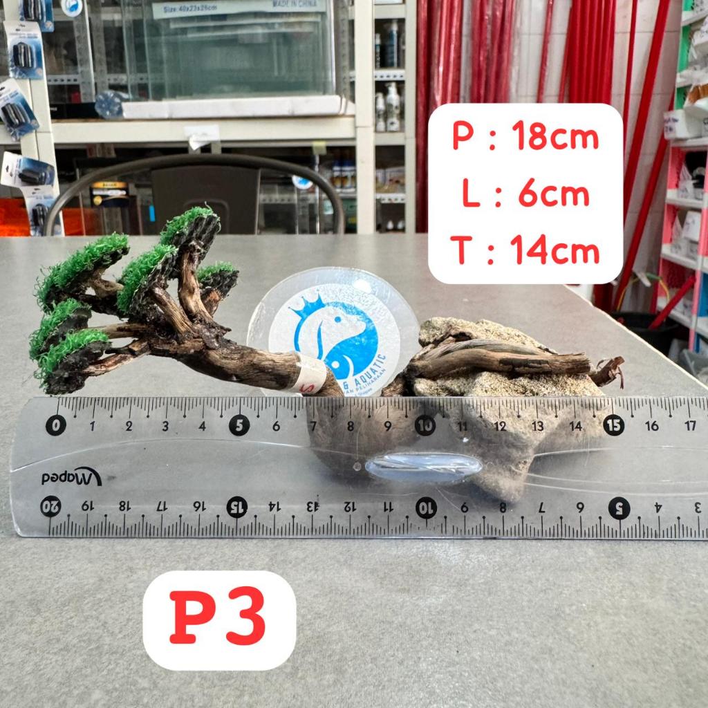 P3 KAYU BONSAI SANTIGI AQUASCAPE SIZE S DEKORASI HIASAN 18CM X 6CM X 14CM
