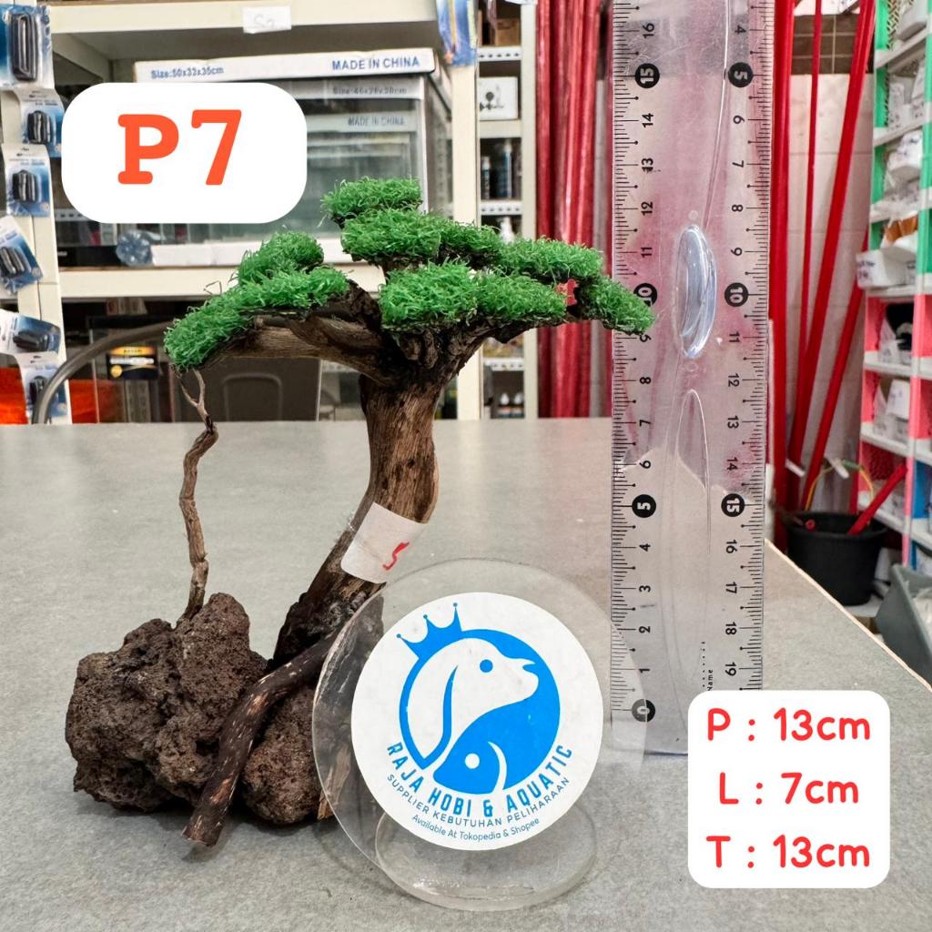 P7 KAYU BONSAI SANTIGI AQUASCAPE SIZE S DEKORASI HIASAN 13CM X 7CM X 13CM