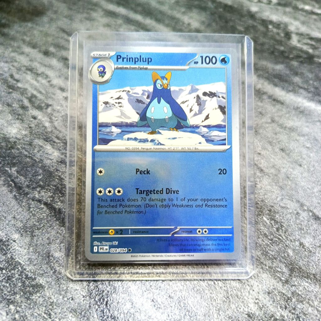 kartu pokemon original english prinplup holo mirror dapat toploader | kartu pokemon asli | sedia jug