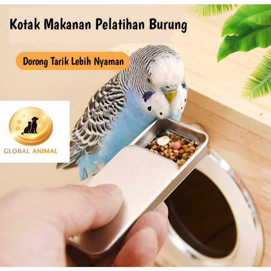POINTER BOX tempat makan burung parrot wadah pakan reward box kotak geser
