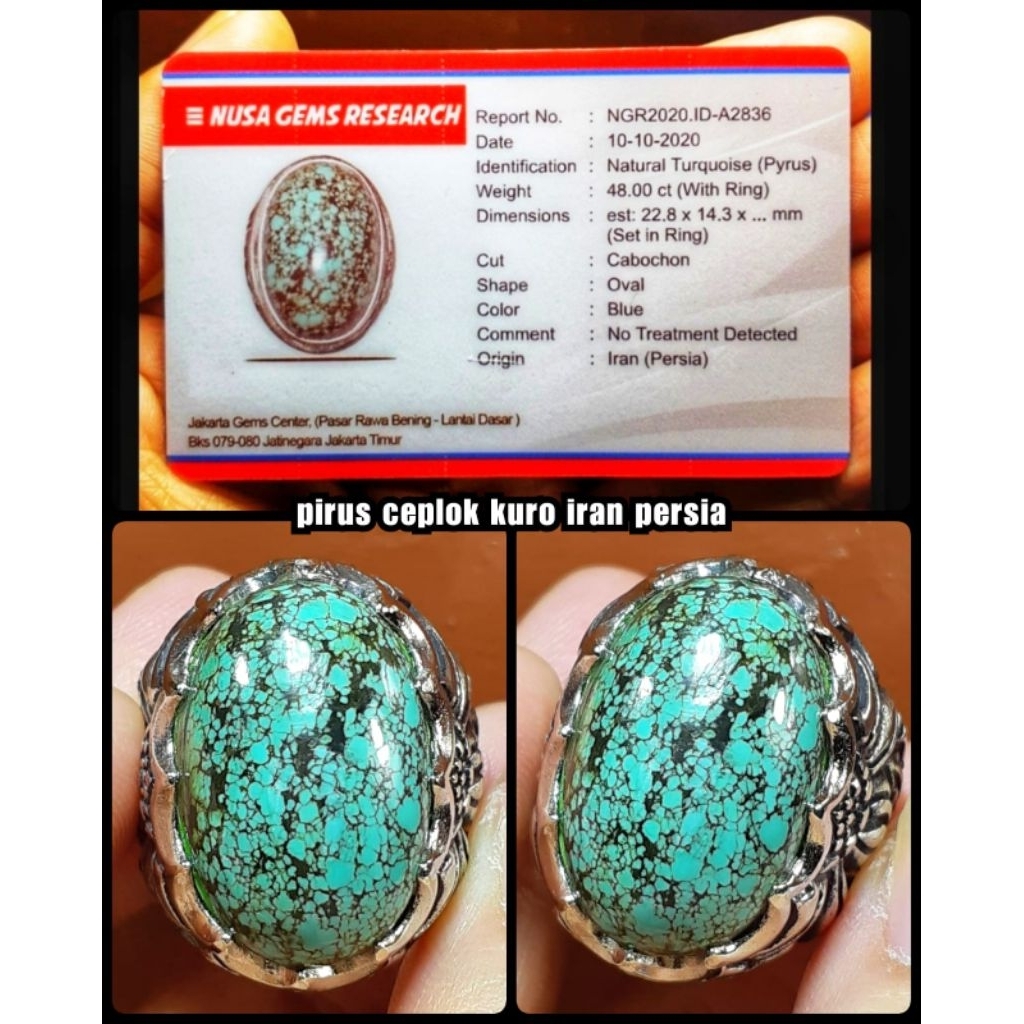 pirus kontes asli persian full body keramik jumbo ya