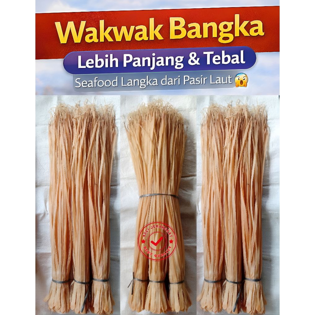 Wak Wak Premium Bangka 100 Helai Grade Panjang Tebal | Seafood Cacing Laut Langka