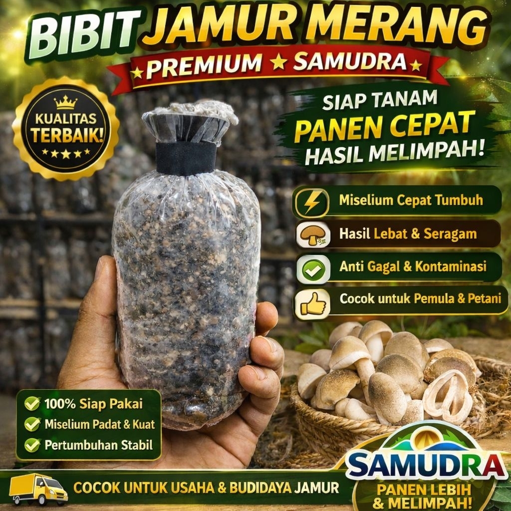 bibit jamur merang samudra semi putih premium  cod
