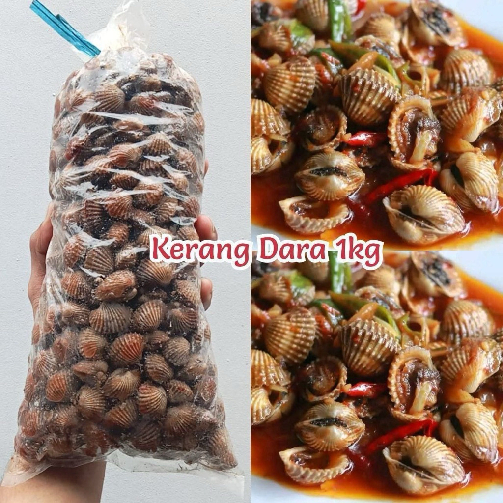 KERANG DARA 1kg