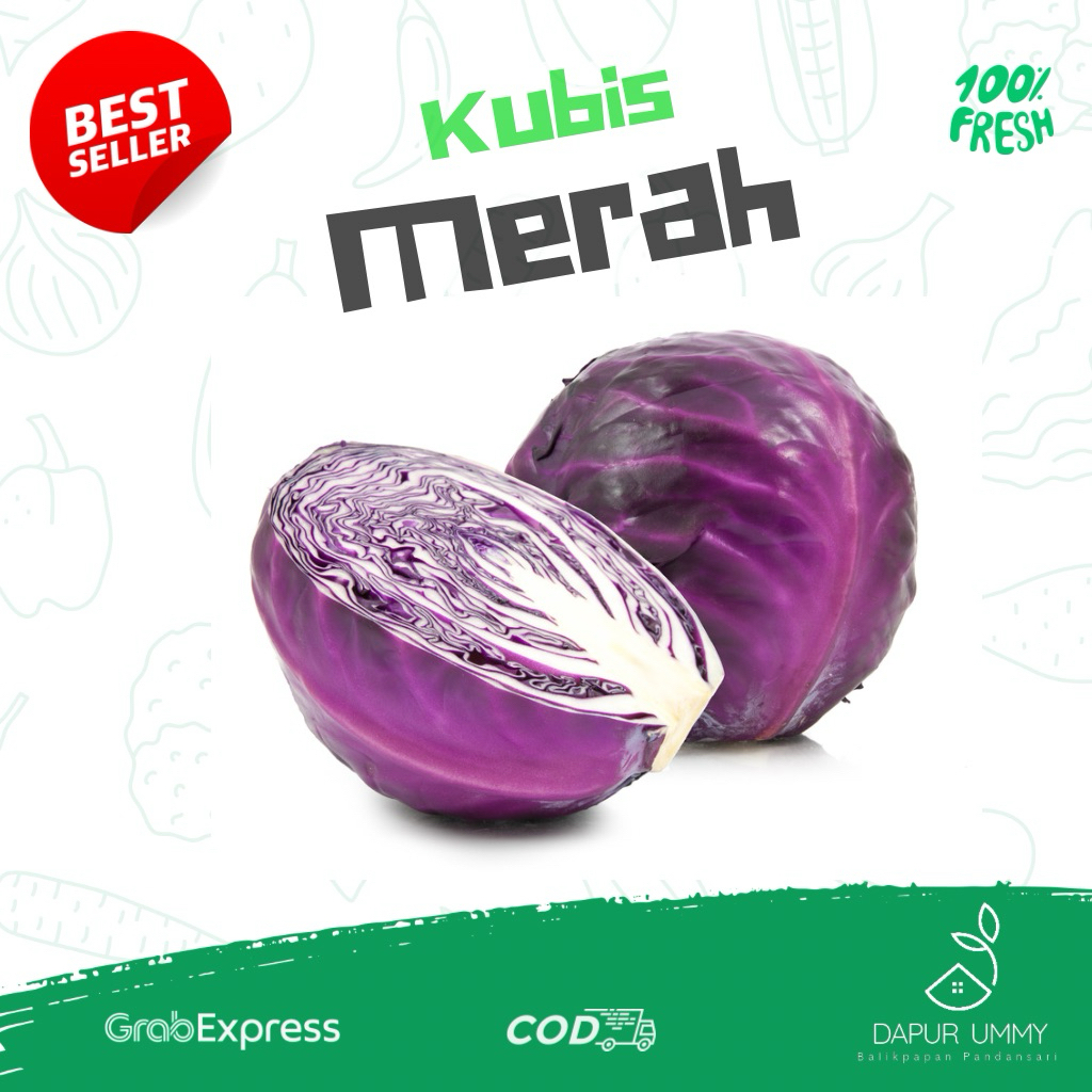 KUBIS • Kol Ungu • Kubis merah