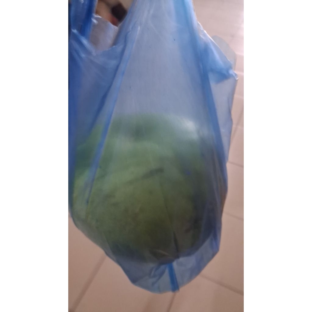 Jeruk Pamelo/bali Aseli madiun