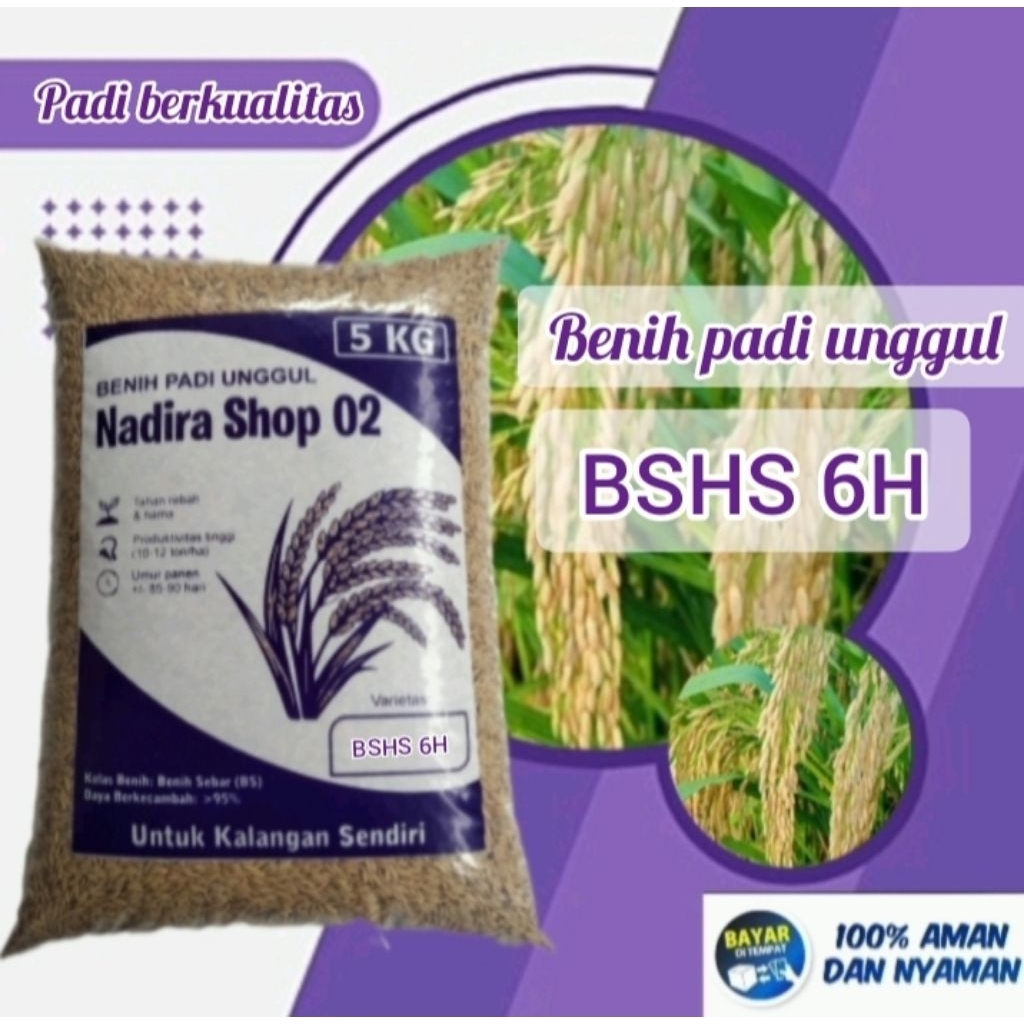 Benih padi bshs 6h kemasan 5kg