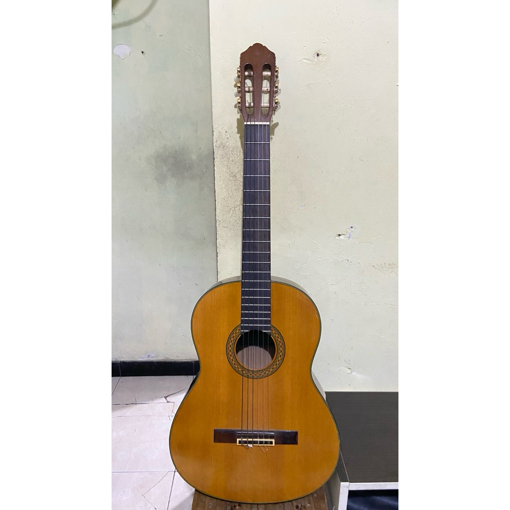 Guitar Yamaha C315