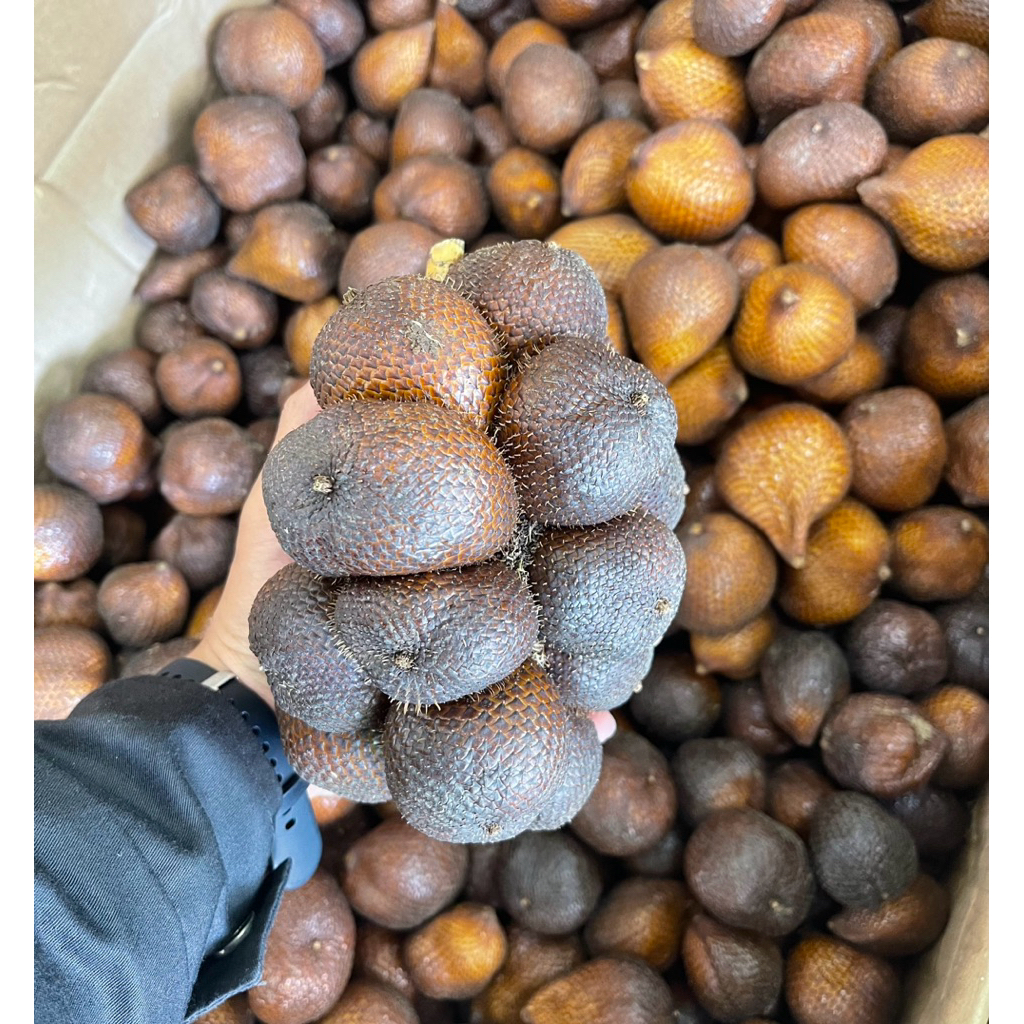 Salak Gula Pasir Bali Super Manis Fresh 1kg