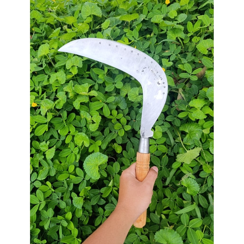 arit rumput premium baja isen lapis 5 wonosobo
