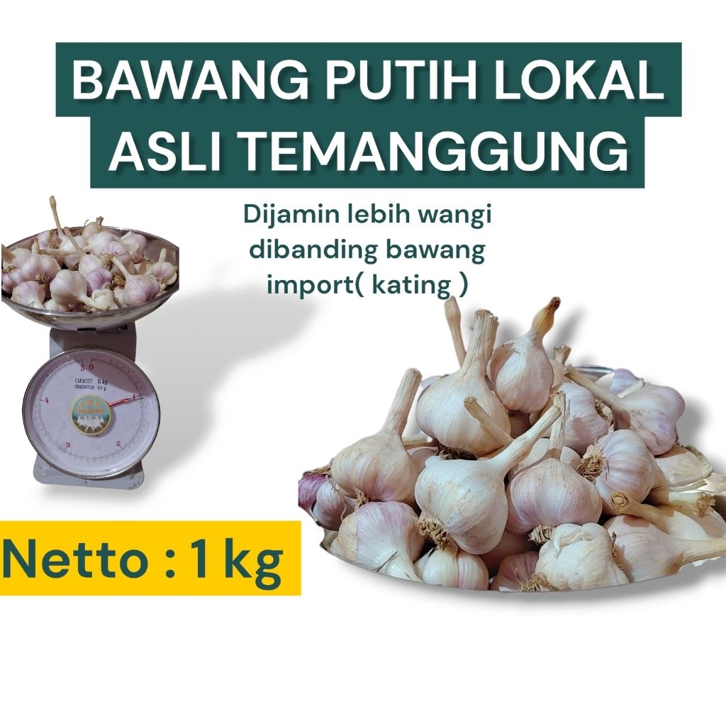 BAWANG PUTIH LOKAL ASLI  TEMANGGUNG 1 KG