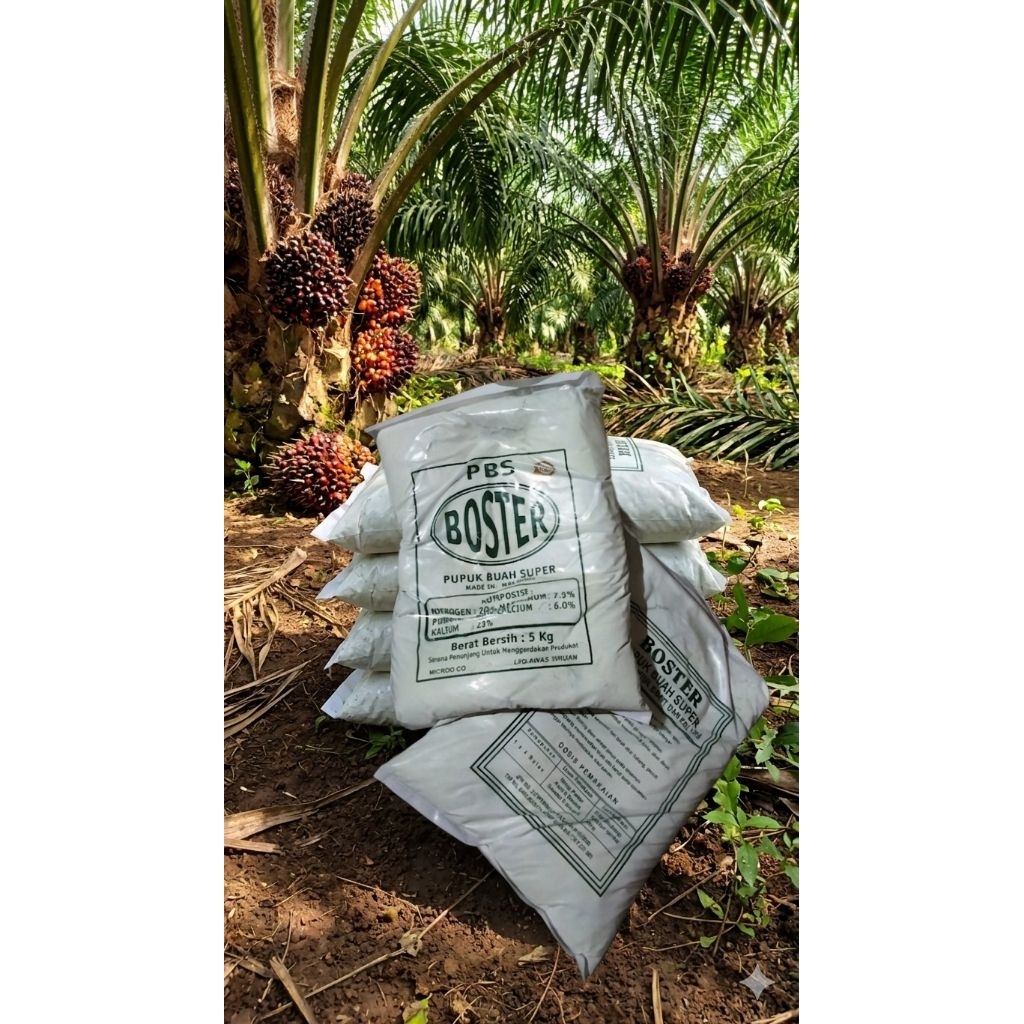 pupuk boster PBS boster super untuk sawit kelapa sawit dll
