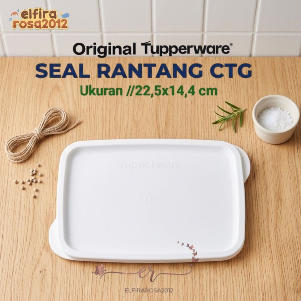 BARU Seal Rantang CTG Tupperware
