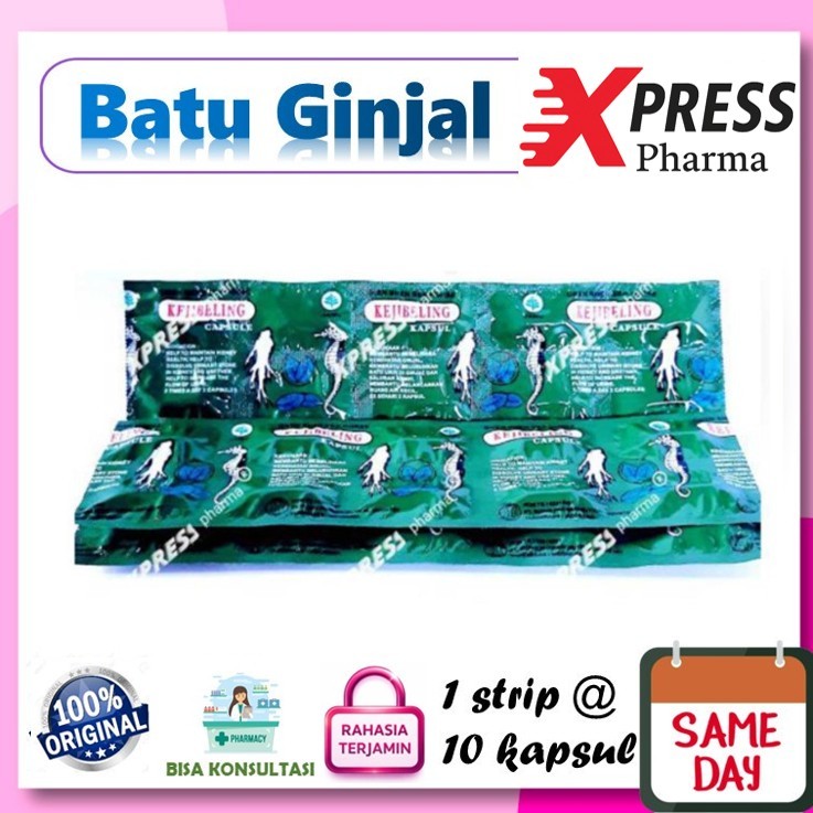 XPRESS  Kejibeling STRIP isi 10 Kapsul Keji Beling Sea Horse Seahorse kuda laut ghensen