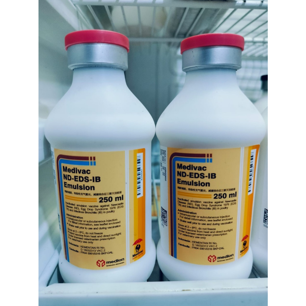Vaksinasi Vaksin Ayam petelur ND EDS IB EMULSION Kemasan 50 / 25 / 5 ML