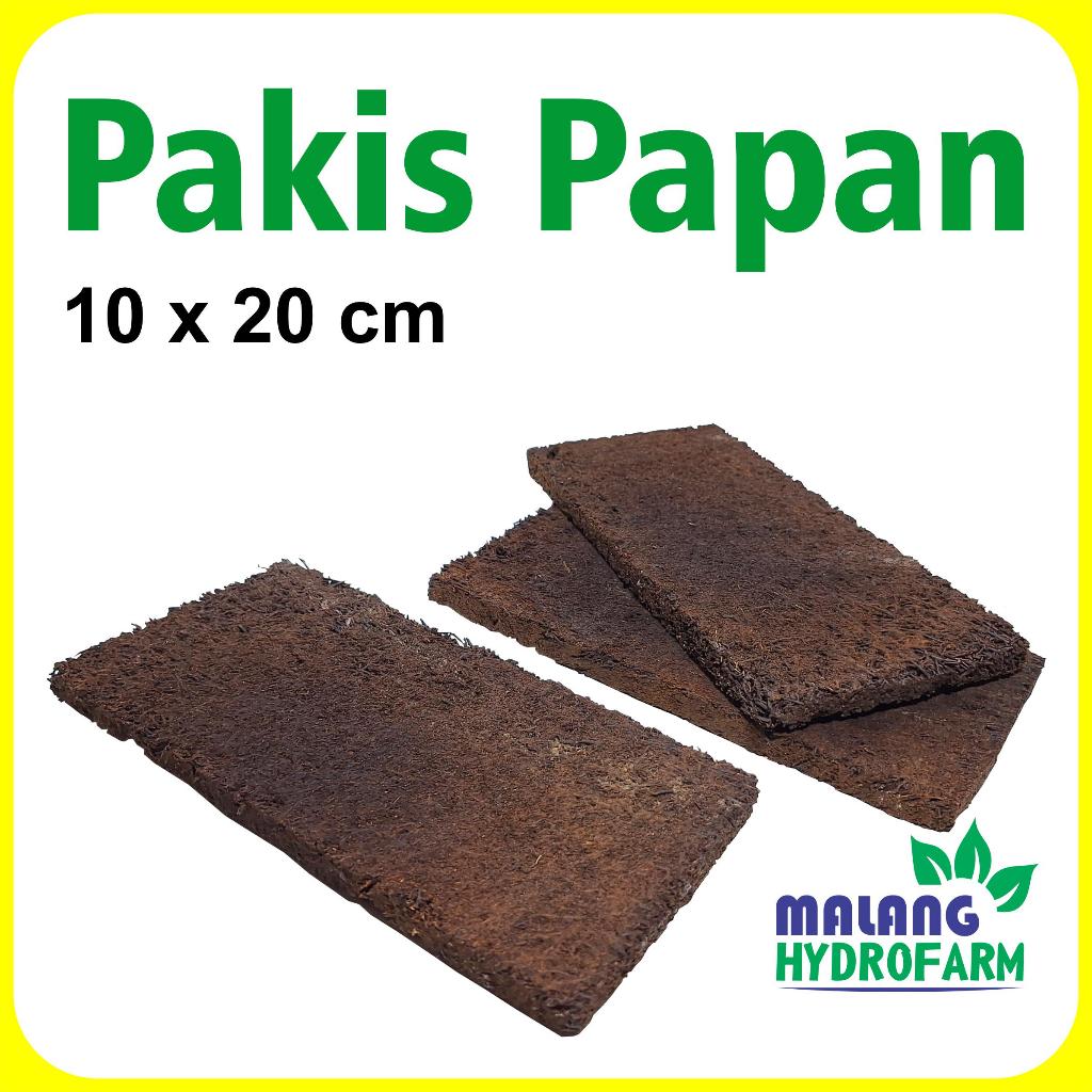 Media Tanam Pakis Papan 20 x 10 cm akar serat batang paku-pakuan tanaman hias sayur sayuran buah epi