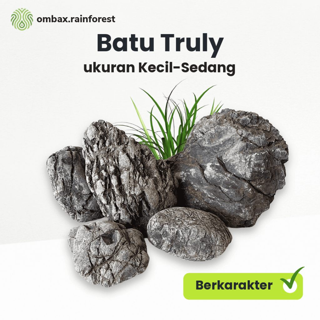 Batu Truly / Turly - Dekorasi Aquascape / Terrarium