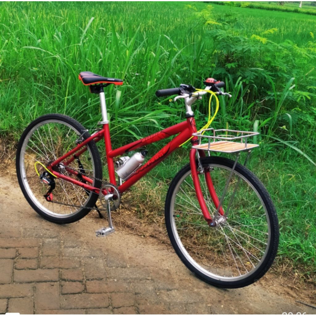 Polygon lady ukuran 26 inc,restorasi tipis