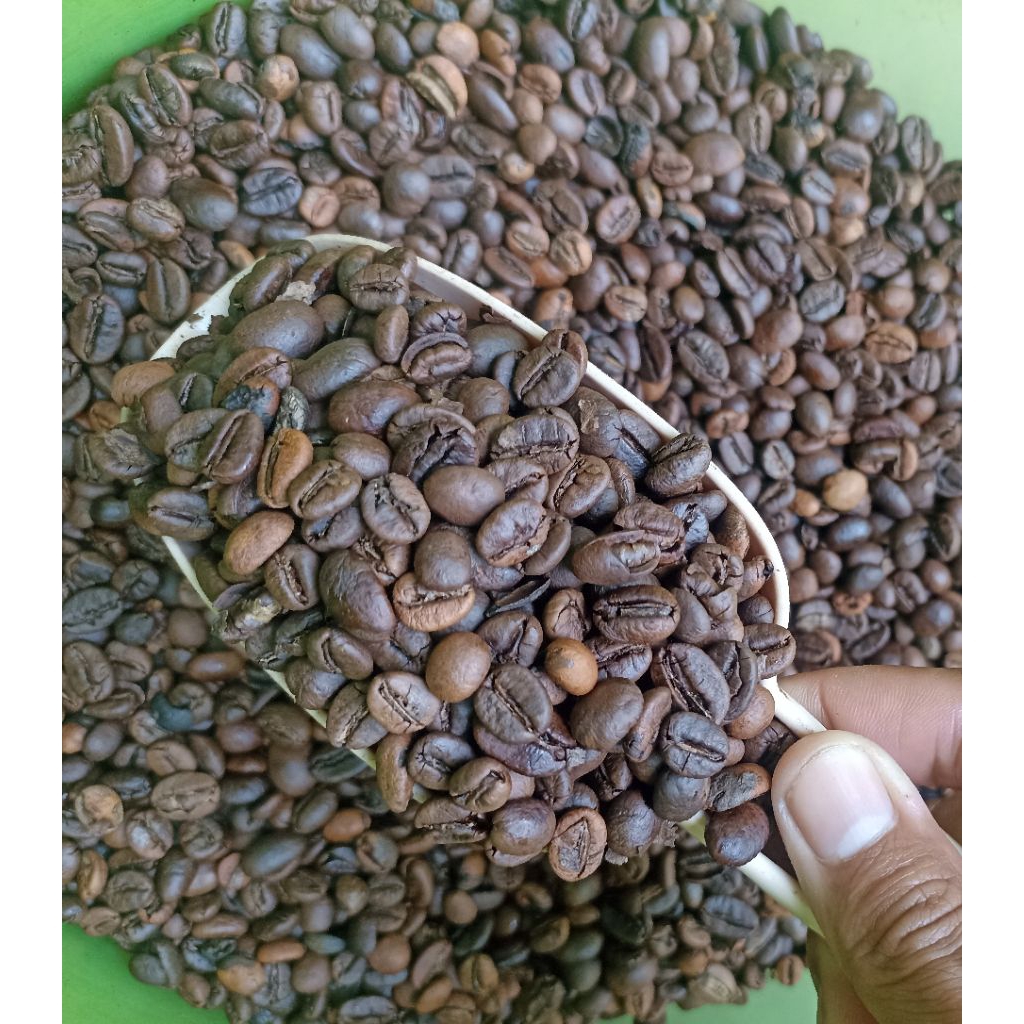 Biji kopi sangrai Robusta lampung murah