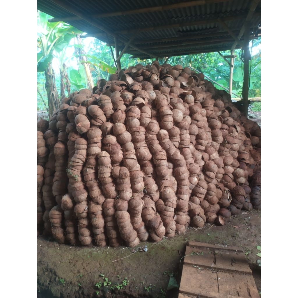 10 KG BATOK KELAPA KERING,  TEMPURUNG KELAPA KERING BAHAN ARANG BATOK ATAU KERAJINAN TANGAN