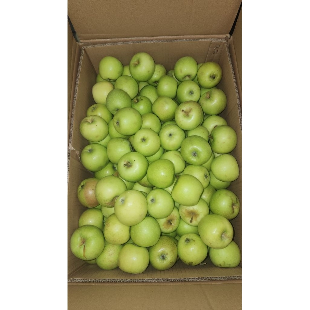 APEL MANALAGI MALANG 1KG [ ISI 10-12PCS ]