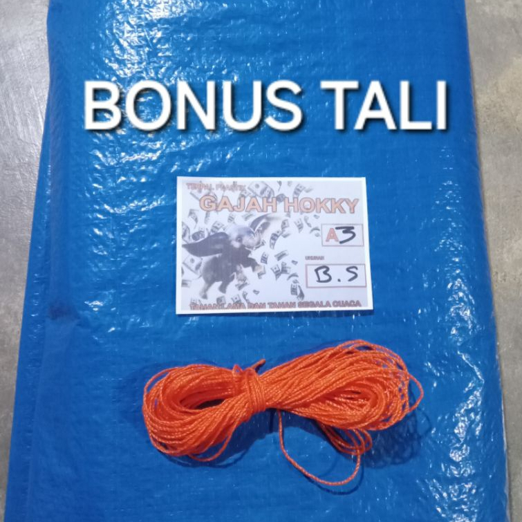 Terpal Tenda 2x10 A3 Terpal Jemur Padi Terpal Serbaguna