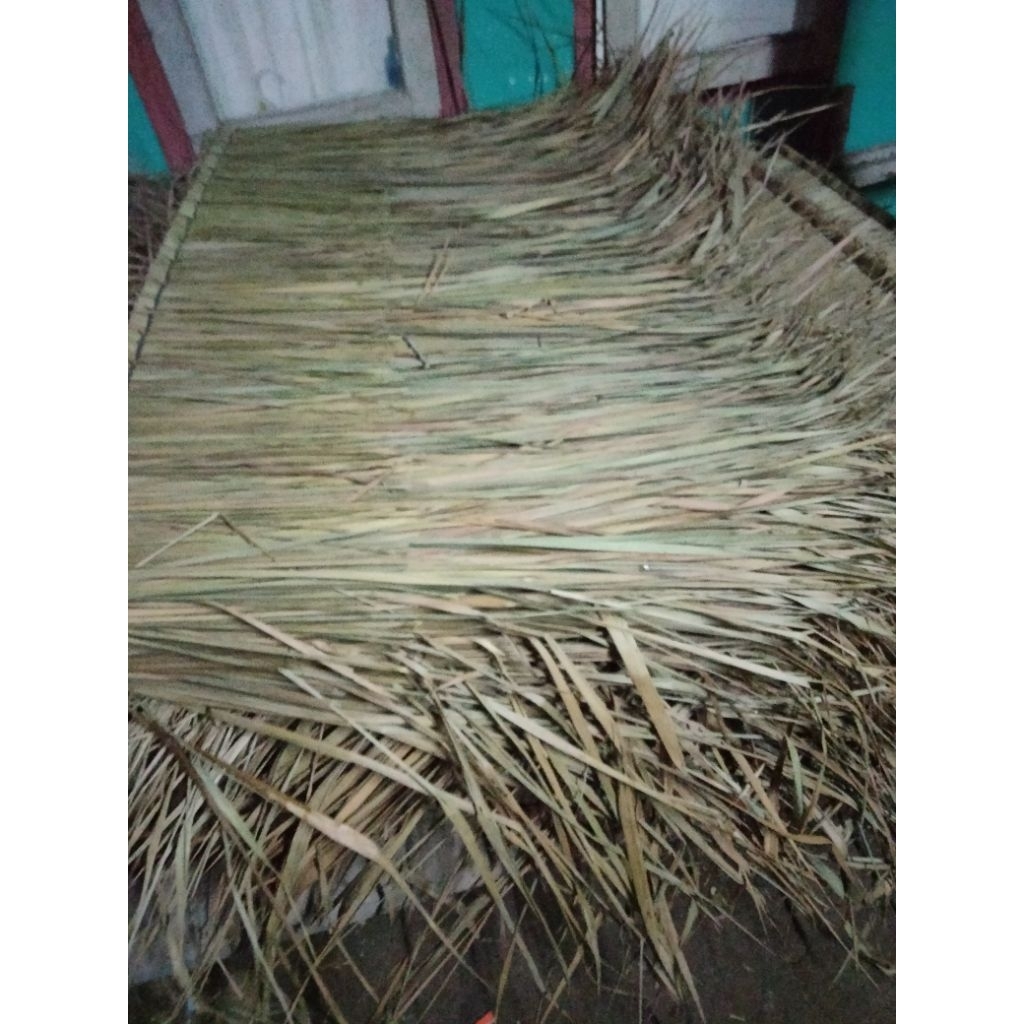 10Atap Alang-Alang Asli 1 Meter Isi 10 Lembar Eu Rih / Hateup Sunda Tebal Rapi | Atap Saung Gazebo V