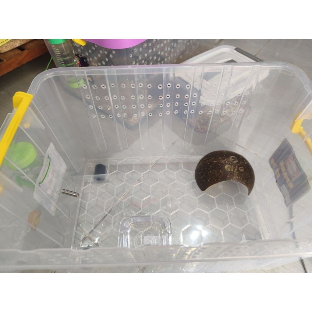 Set Besar Kandang Dormice dan Hamster