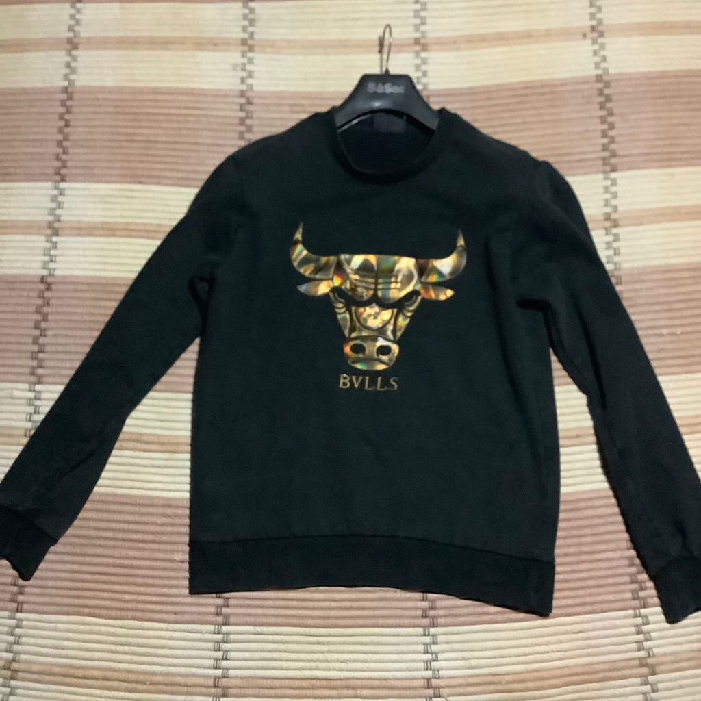 SW3473R Hoodie JORDAN BULLS second Ori
