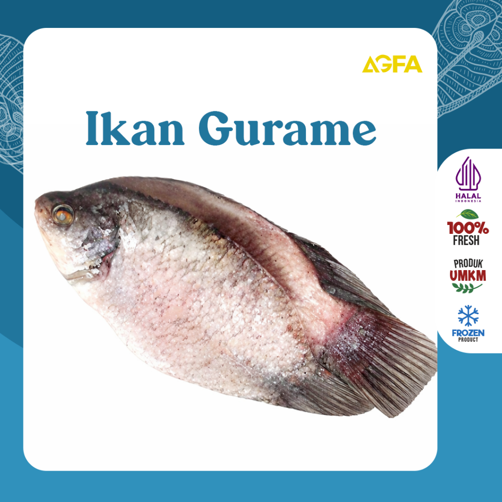 Gurame Terbang / Ikan Gurami Terbang Fillet / Gurame Bersih Fillet Terbang / Gurame Fillet / Ikan Gu