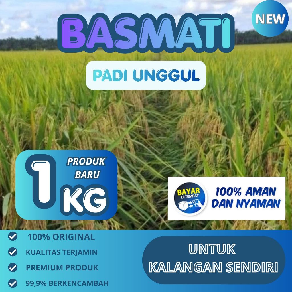 BENIH PADI BASMATI 1KG (Basmati/Baroma 1121)