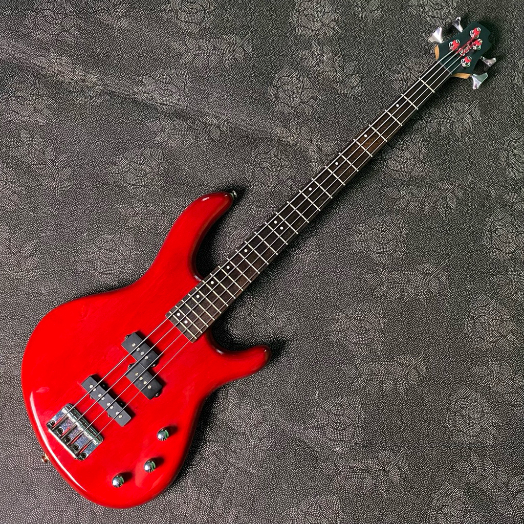 bass cort action