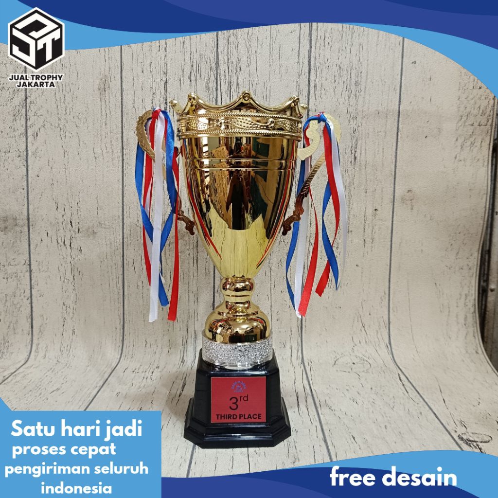 Trophy, Trophy Custom, Trophy Lomba, Trophy Bergilir, Trophy Murah, Trophy Kejuaraan