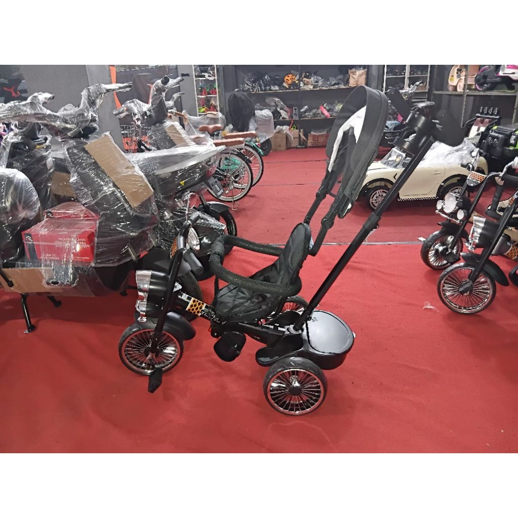 tricycle exotic 1272