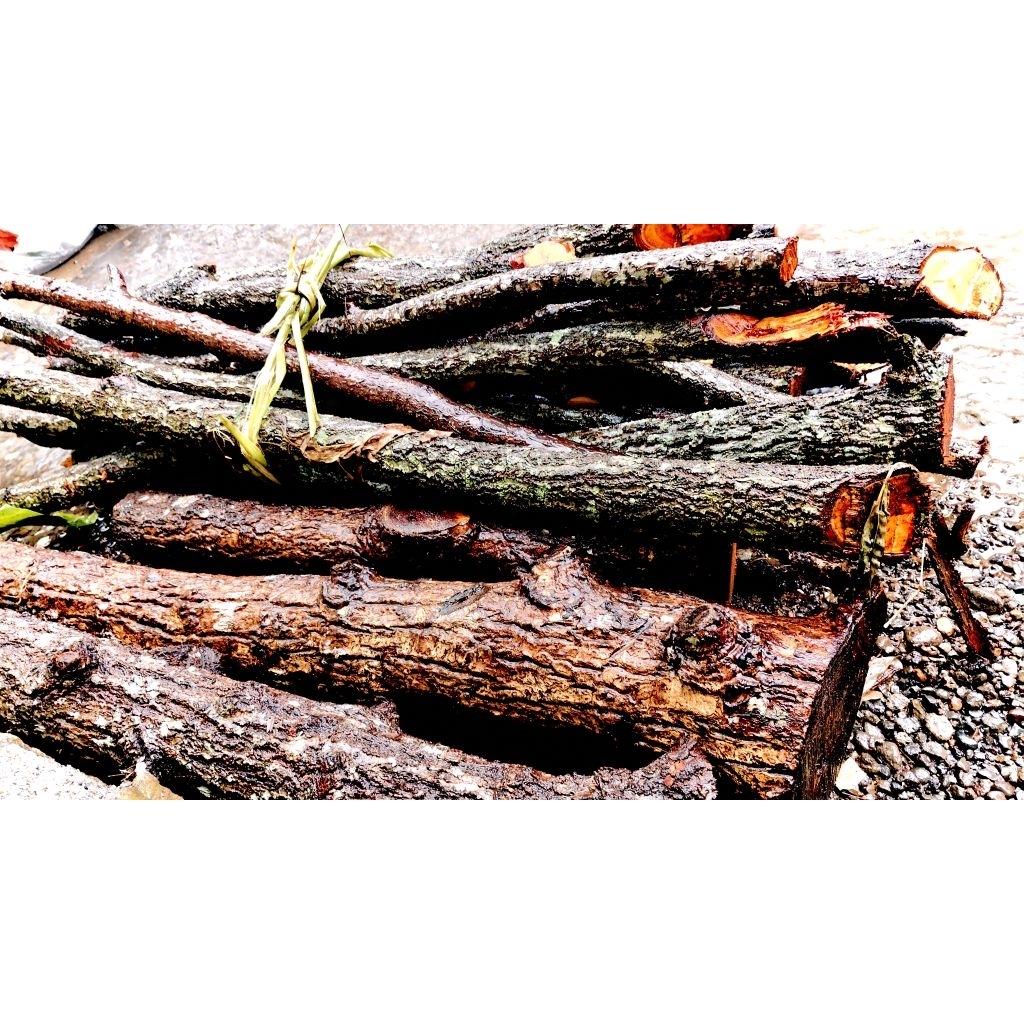 Kayu Suren bahan Hardscape Aquascape panjang 60cm